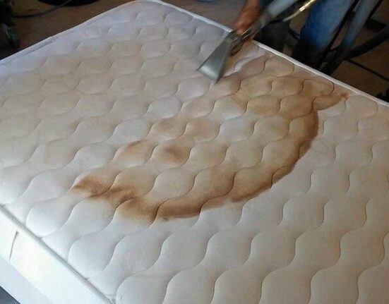 Remove Pet Stains and Odor from mattress