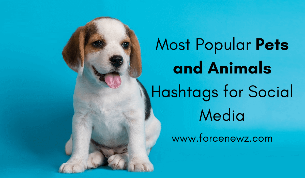 Pets and Animals Hashtags