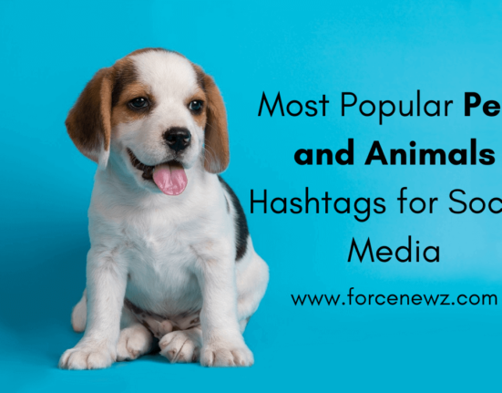 Pets and Animals Hashtags