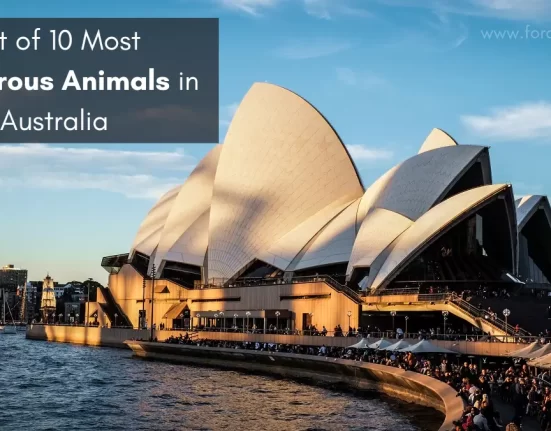 Most Dangerous Animals in Australia