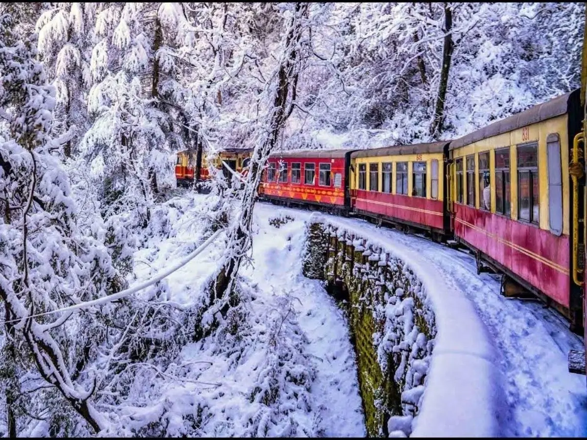 _Shimla